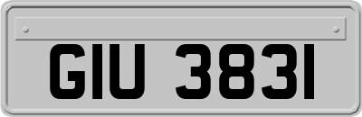 GIU3831