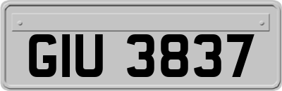GIU3837