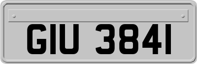 GIU3841