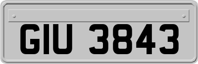 GIU3843
