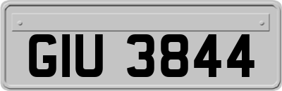GIU3844