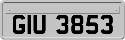 GIU3853