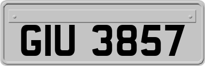 GIU3857