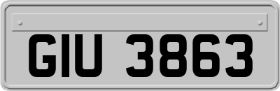 GIU3863