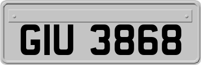 GIU3868