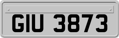 GIU3873