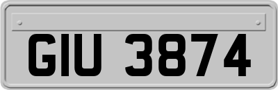 GIU3874
