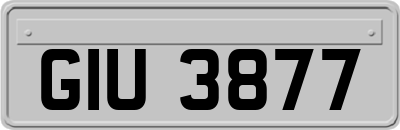 GIU3877