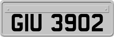 GIU3902