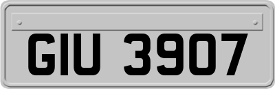 GIU3907