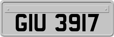 GIU3917