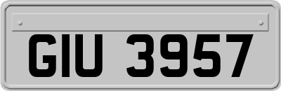 GIU3957