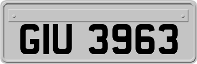 GIU3963