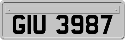 GIU3987