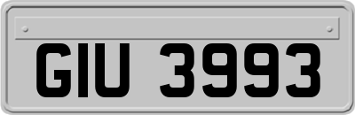 GIU3993