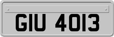 GIU4013