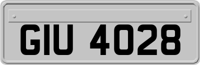 GIU4028