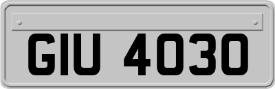 GIU4030