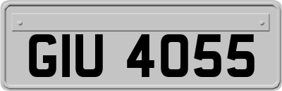 GIU4055