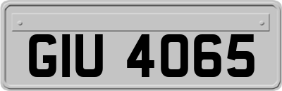 GIU4065