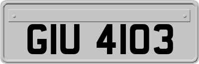 GIU4103