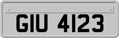 GIU4123