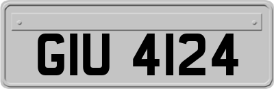 GIU4124