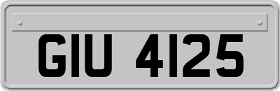 GIU4125