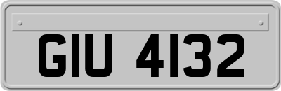 GIU4132