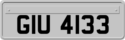GIU4133