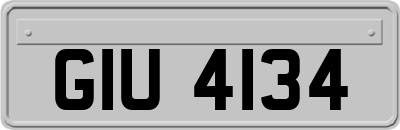 GIU4134