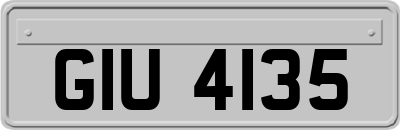 GIU4135