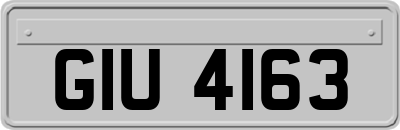 GIU4163