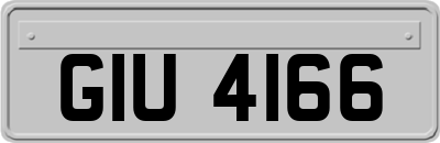 GIU4166