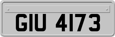 GIU4173