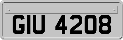 GIU4208