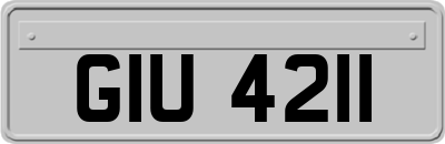 GIU4211