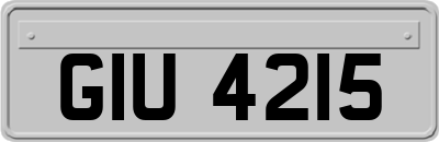 GIU4215