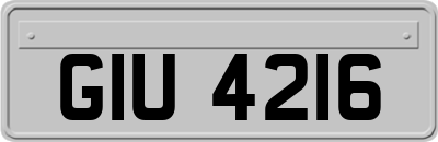 GIU4216