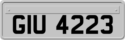 GIU4223