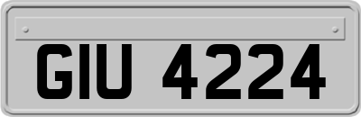 GIU4224