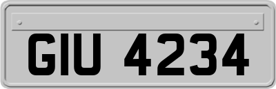 GIU4234