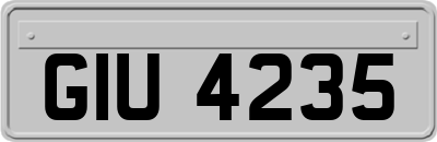 GIU4235