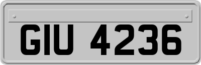 GIU4236