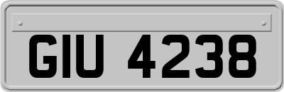 GIU4238