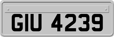GIU4239