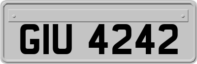 GIU4242
