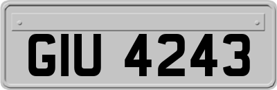 GIU4243