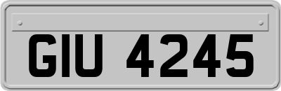 GIU4245