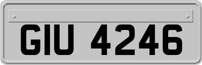GIU4246